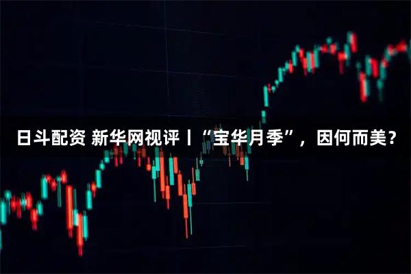 日斗配资 新华网视评丨“宝华月季”，因何而美？