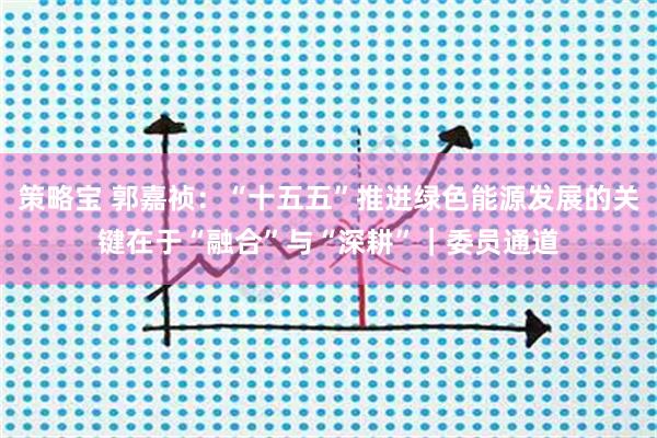 策略宝 郭嘉祯：“十五五”推进绿色能源发展的关键在于“融合”与“深耕”｜委员通道