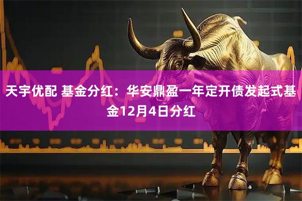 天宇优配 基金分红：华安鼎盈一年定开债发起式基金12月4日分红